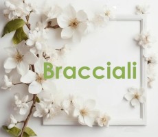 Bracciali