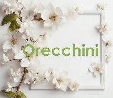 Orecchini