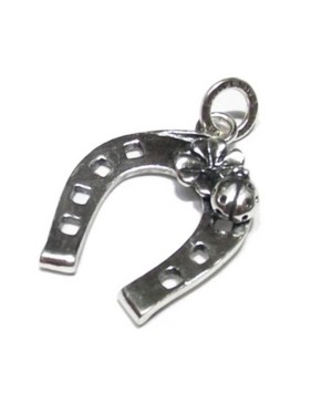 11073 CHARM 11073 FERRO DI CAVALLO FORTUNA GRANDE RASPINI