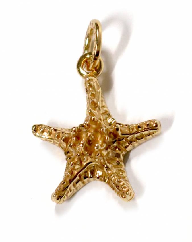 Charms - Mare - 8564 CHARM STELLA GRASSA DORATA GIOVANNI RASPINI