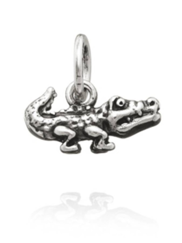  -  - Charms