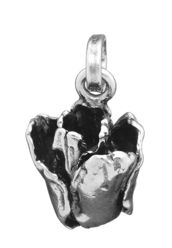  -  - Charms