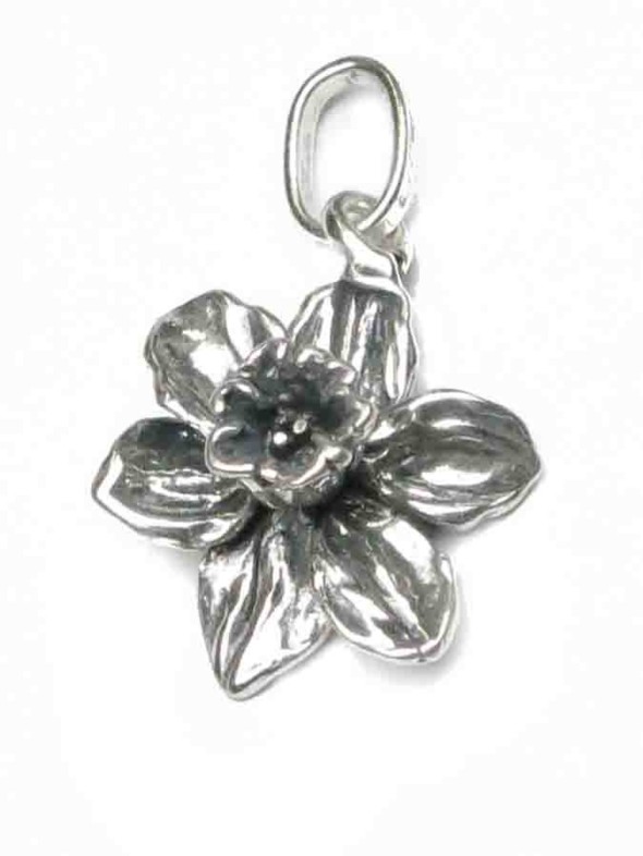  -  - Charms