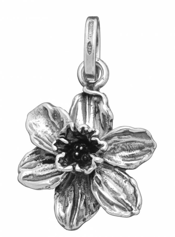  -  - Charms