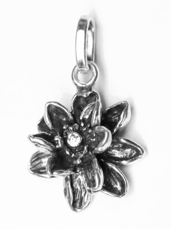  -  - Charms