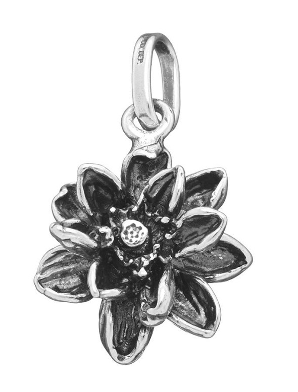  -  - Charms