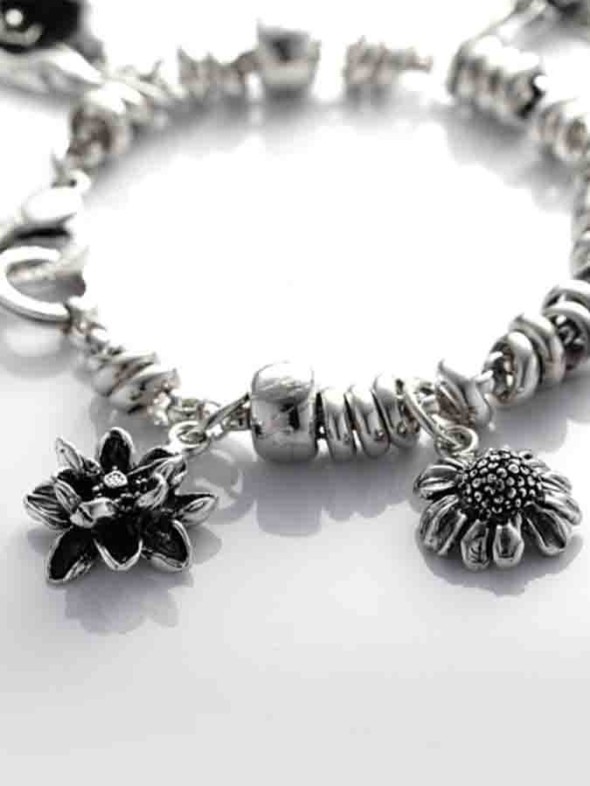  -  - Charms