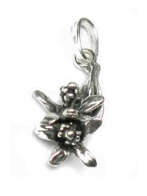  -  - Charms