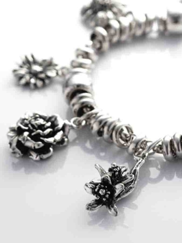  -  - Charms