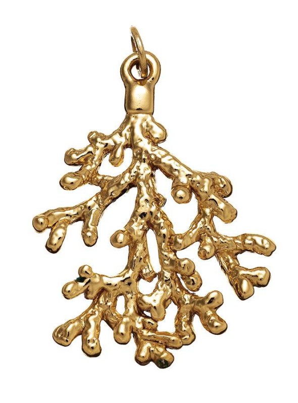  -  - Charms