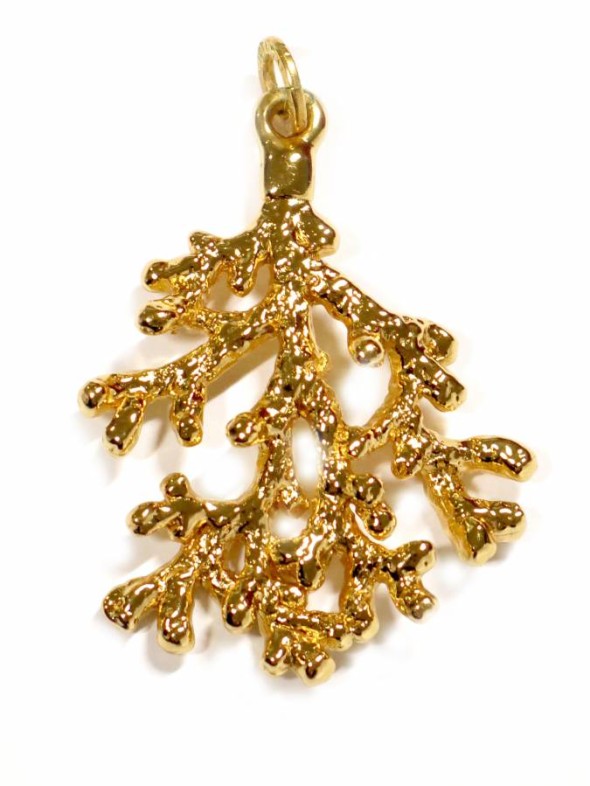  -  - Charms