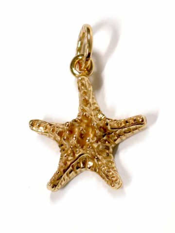 Charms - Mare - 8564 CHARM STELLA GRASSA DORATA GIOVANNI RASPINI