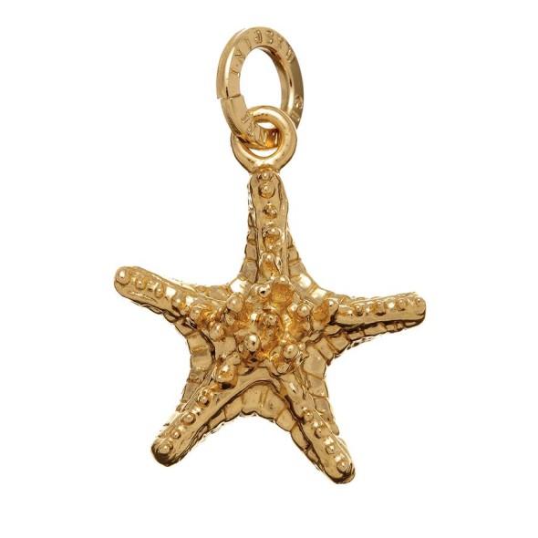  -  - Charms