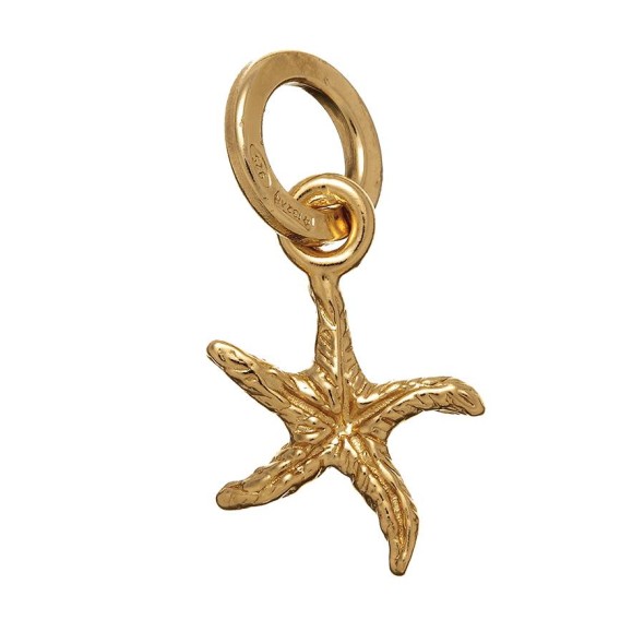  -  - Charms