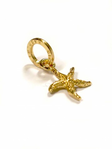 Charms - Mare - 8565 CHARM STELLA MARINA DORATA GIOVANNI RASPINI