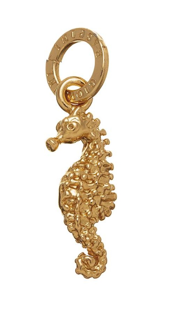  -  - Charms