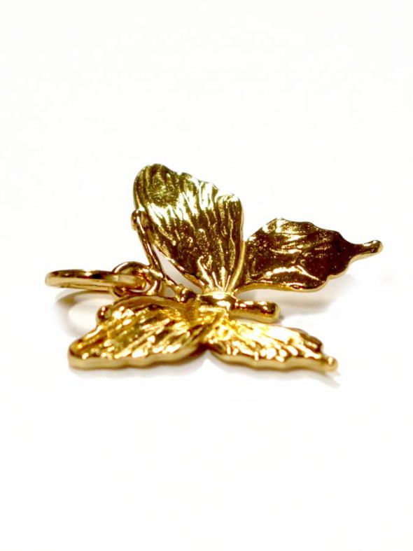  -  - Charms