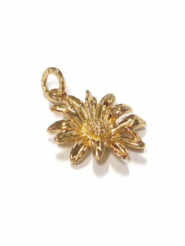  -  - Charms