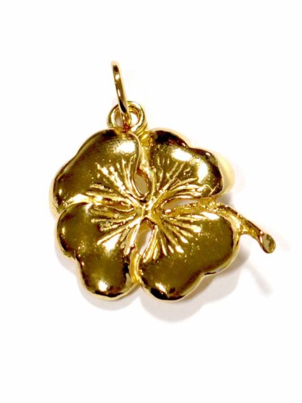  -  - Charms
