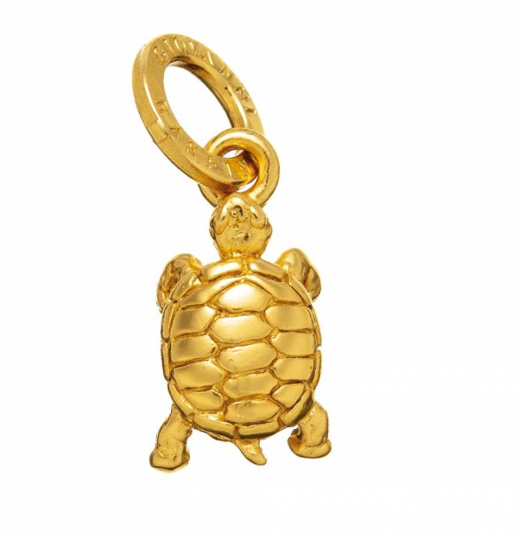  -  - Charms