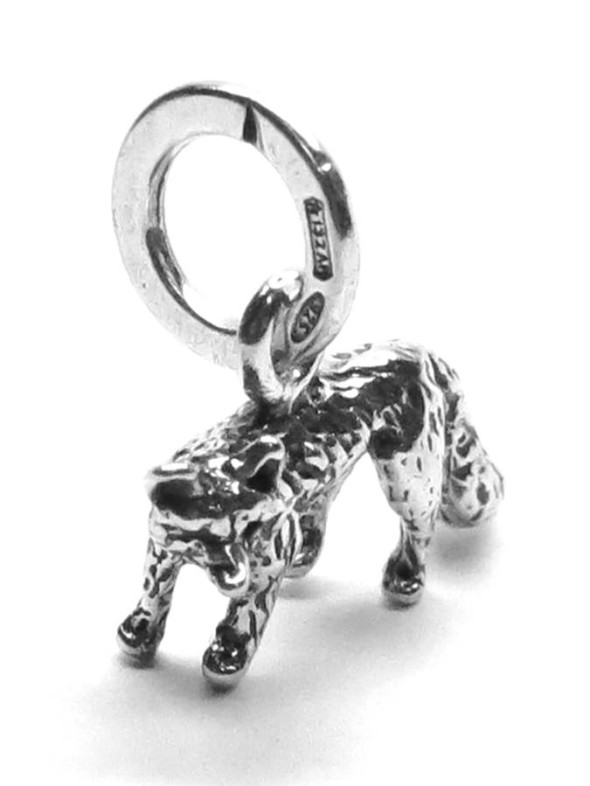  -  - Charms