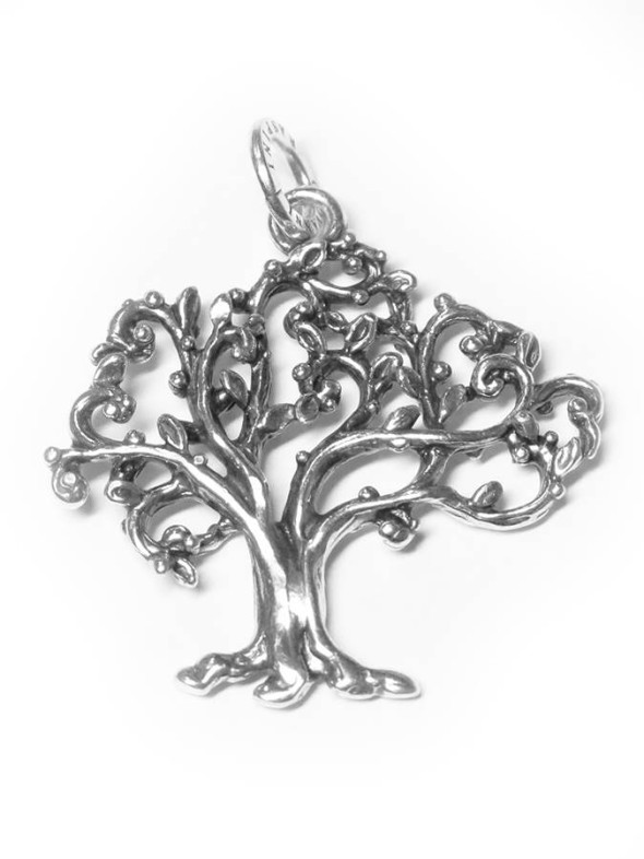 -  - Charms