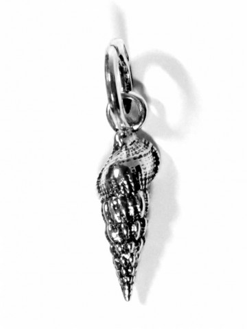 Charms - Mare - 10200 CONCHIGLIA TURRITELLA - GIOVANNI RASPINI