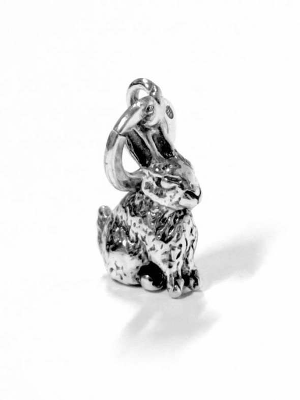  -  - Charms