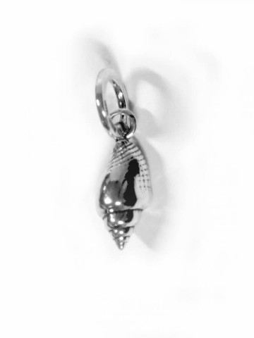 Charms - Mare - 10199 CHARM CONCHIGLIA MITRA - GIOVANNI RASPINI