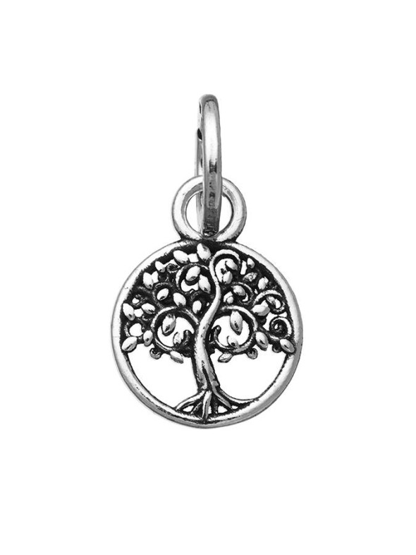  -  - Charms