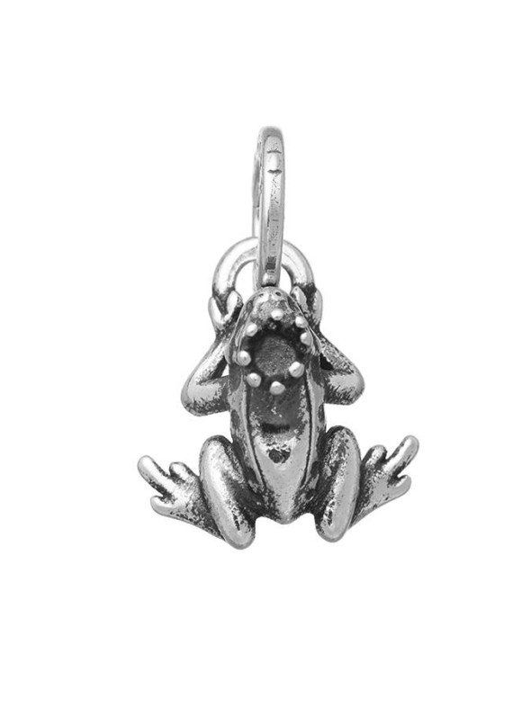  -  - Charms