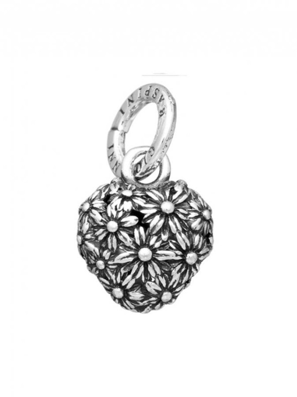  -  - Charms