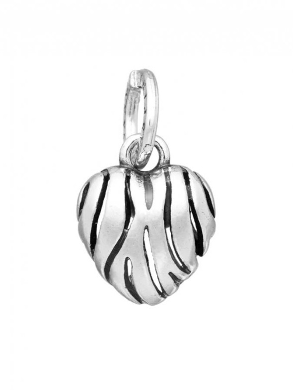  -  - Charms