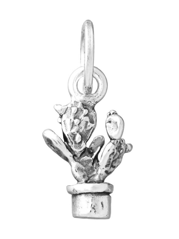  -  - Charms