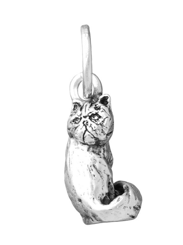  -  - Charms