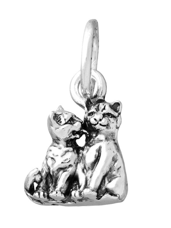  -  - Charms