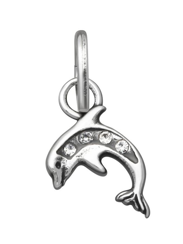  -  - Charms