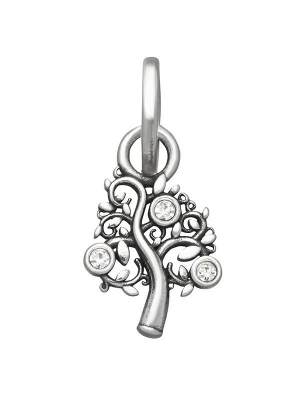  -  - Charms